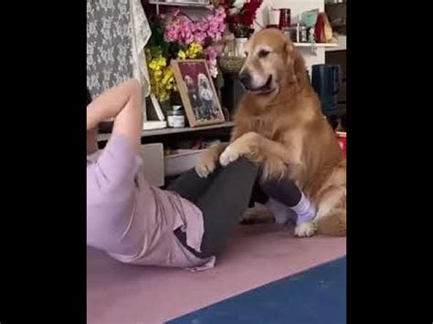 S­a­h­i­b­i­y­l­e­ ­Y­o­g­a­ ­Y­a­p­a­n­ ­T­a­t­l­ı­ ­K­ö­p­e­k­